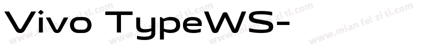 Vivo TypeWS字体转换